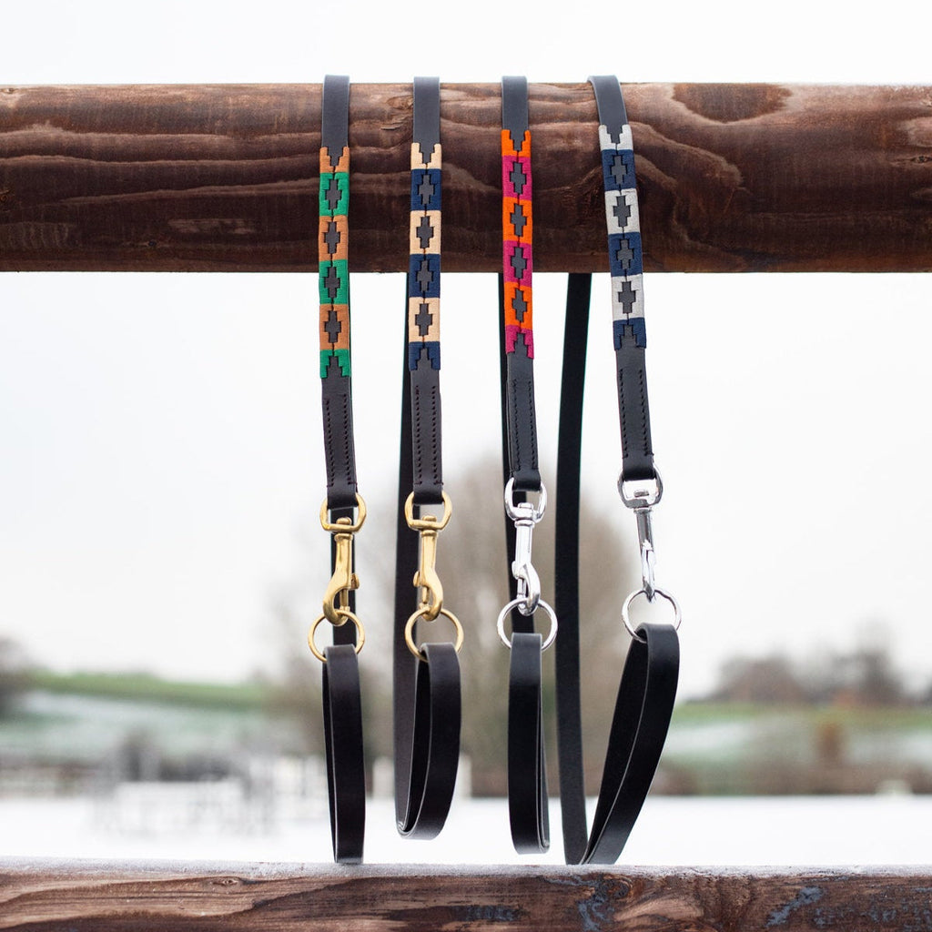 HFI Hondenleiband Polo
