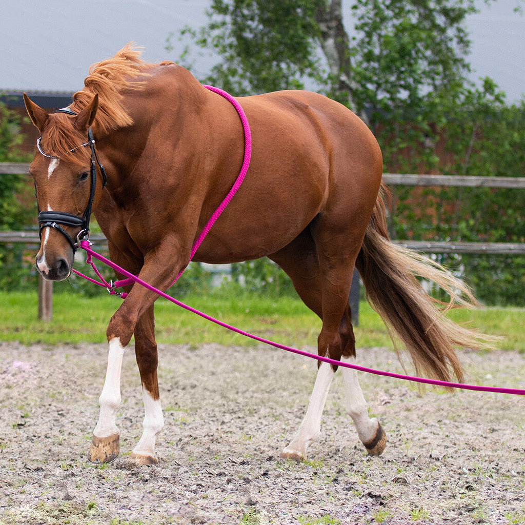 QHP Longeleine in Tasche