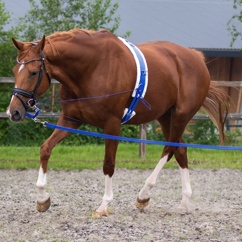 QHP Longeleine in Tasche