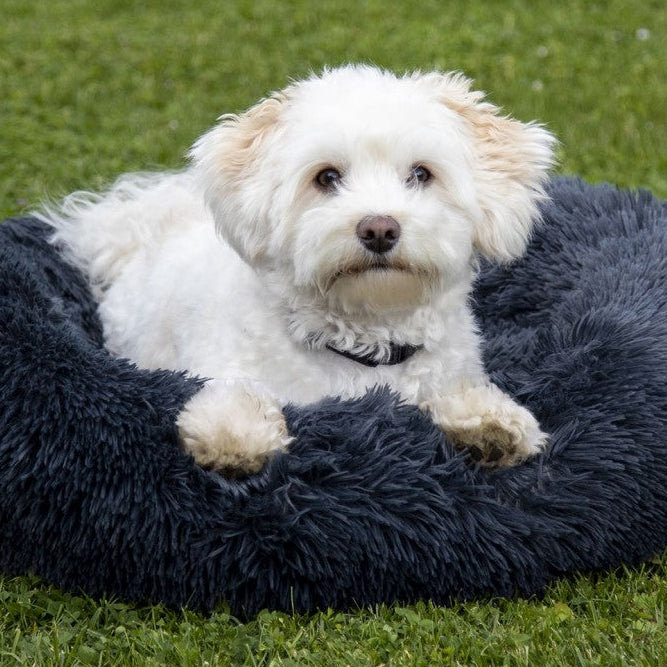 HKM Hundebett - Flauschig