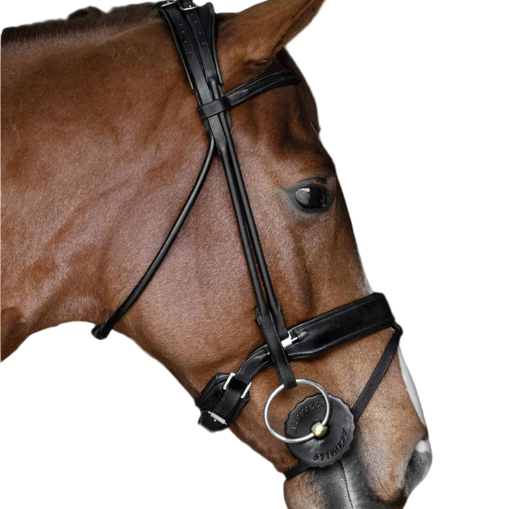 Acavallo Gel Bitringen