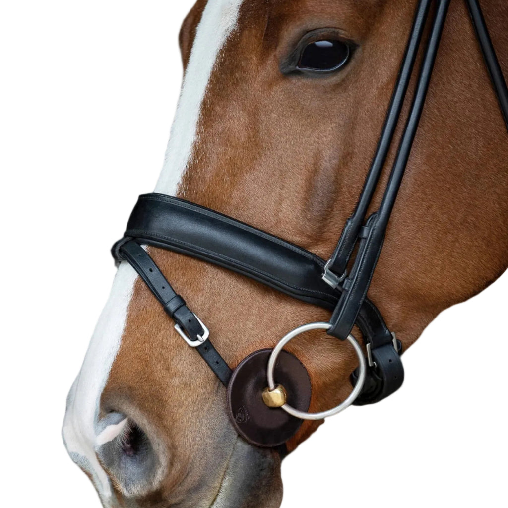 Acavallo Contour Gel Bitringen