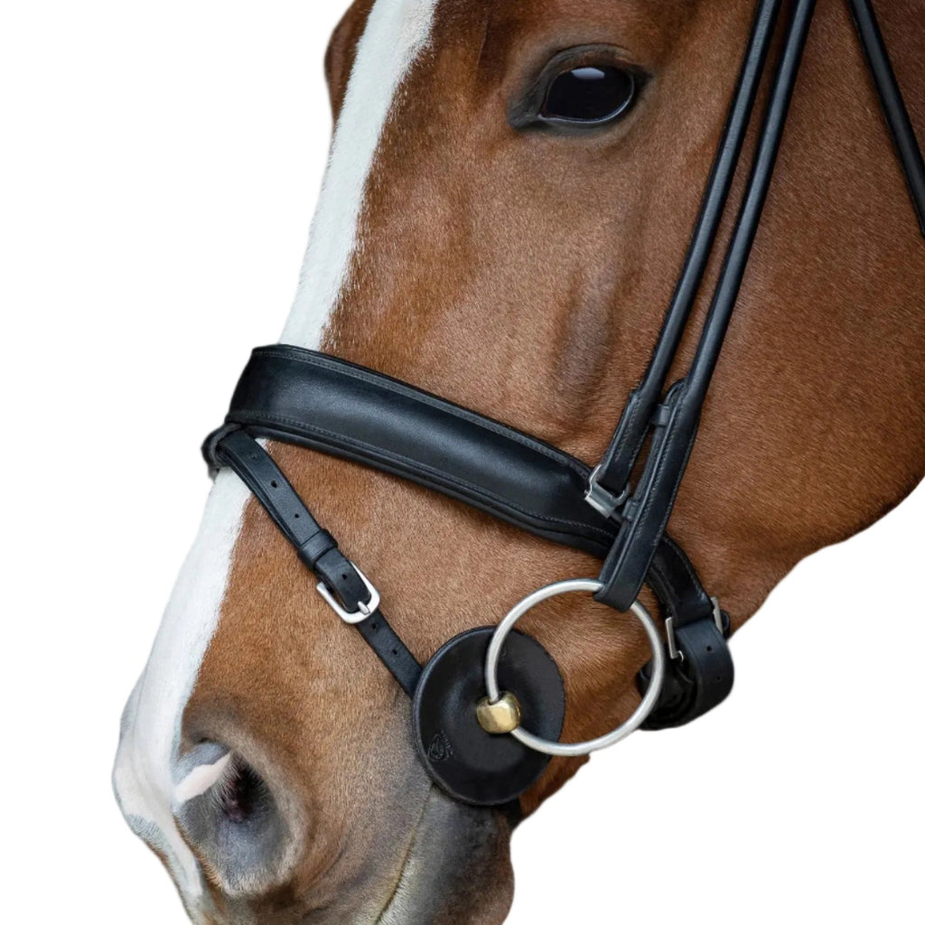 Acavallo Contour Gel Bitringen