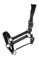 HKM Lederhalfter Glamour
