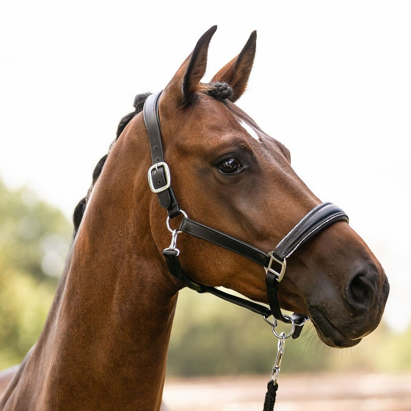 HKM Leather Halter Glamour