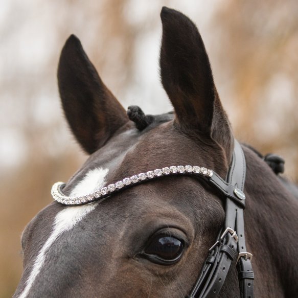 Passier Browband Wave - XL Premium Crystals