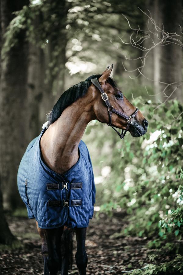 Kentucky Stalldecke 0G