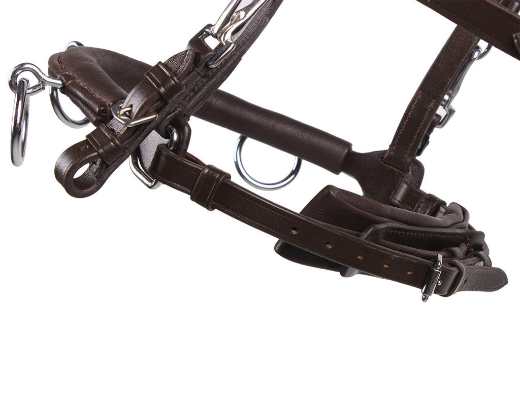QHP Cavesson - Leder