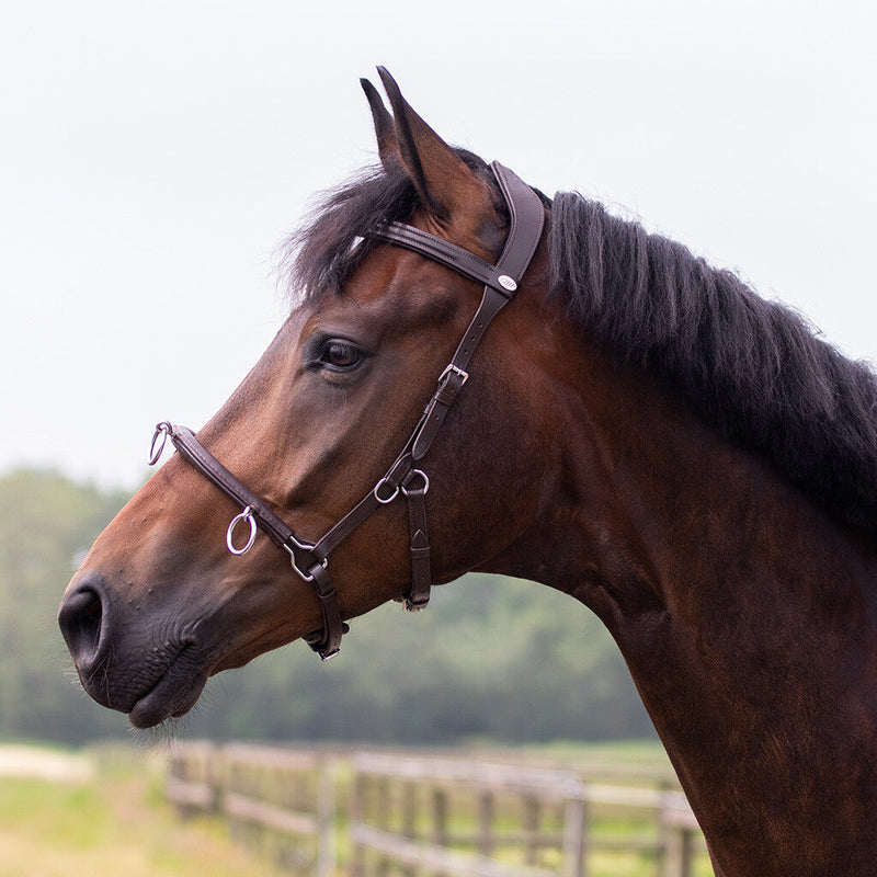 QHP Cavesson - Leder