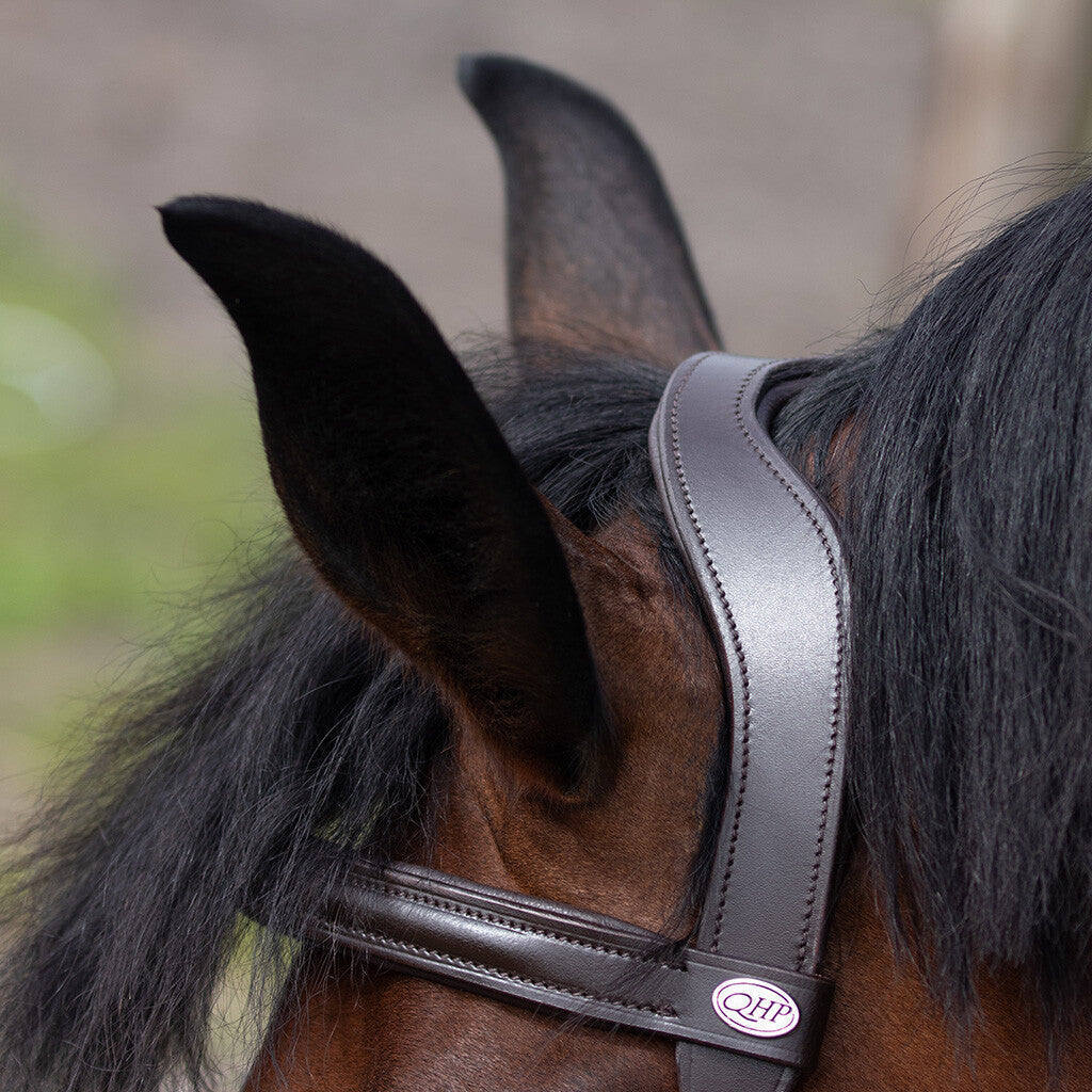 QHP Cavesson - Leder