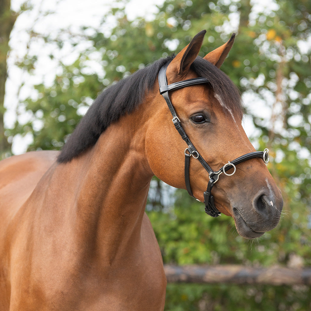 QHP Kappzaum - Leder