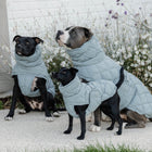 Kentucky Hundemantel Winter Pina