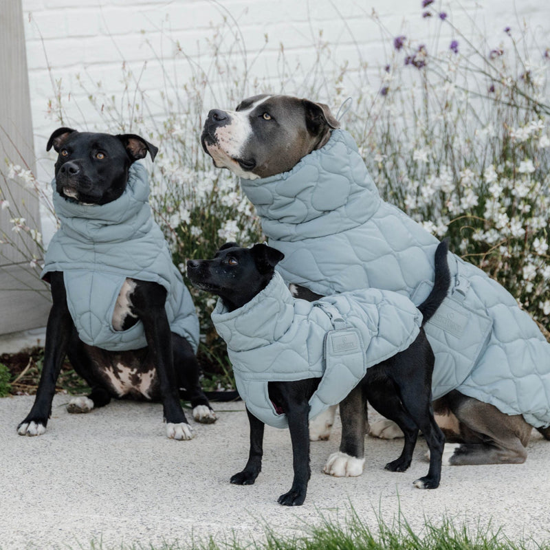 Kentucky Dog Coat Winter Pina
