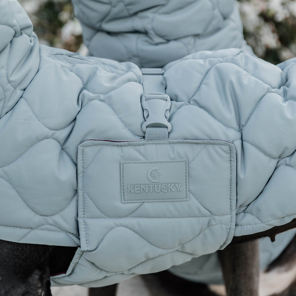 Kentucky Hundemantel Winter Pina