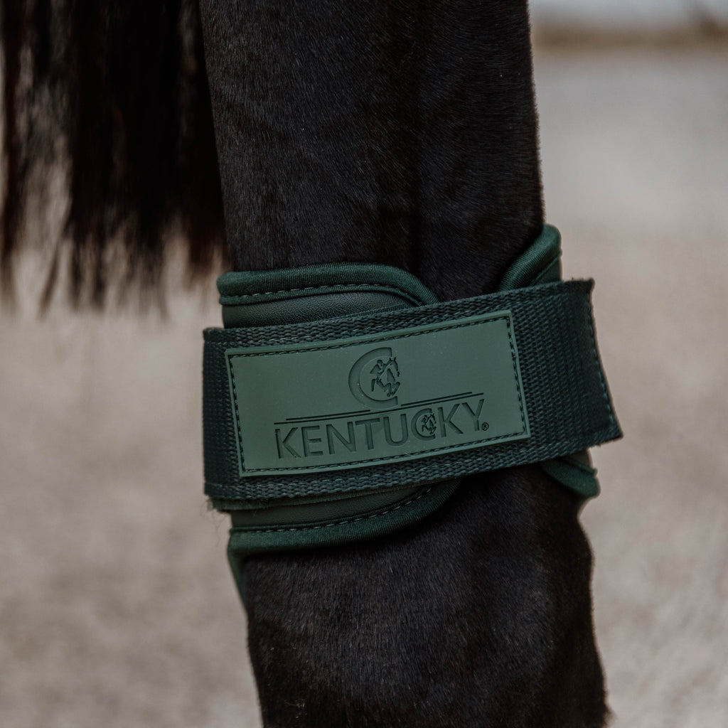 Kentucky Kogelbeschermers - Jonge Paarden