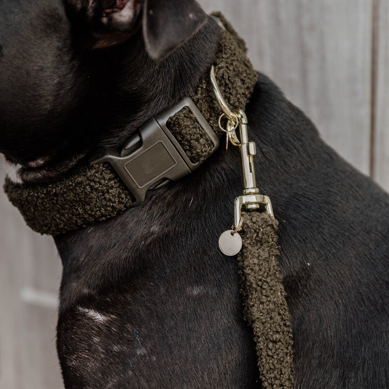 Kentucky Dog Leash S - Teddy Fleece - 120 Cm