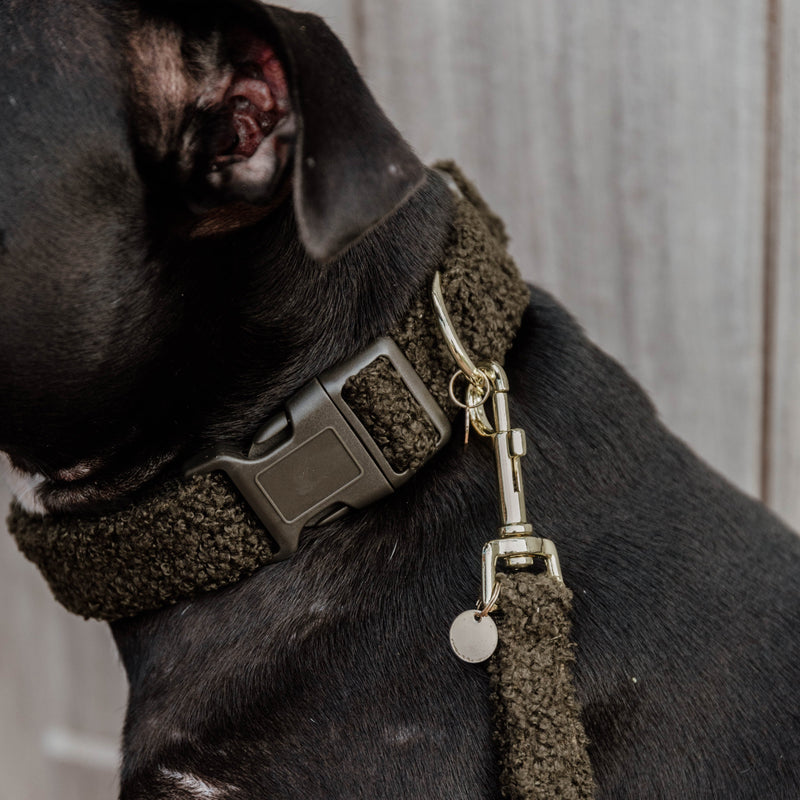 Kentucky Dog Collar - Teddy Fleece