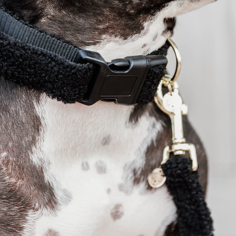 Kentucky Dog Leash S - Teddy Fleece - 120 Cm