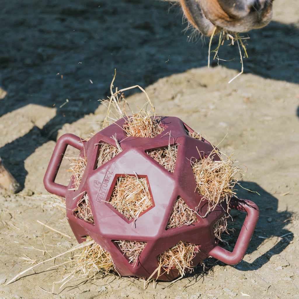 Kentucky Relax Heu- und Spielball