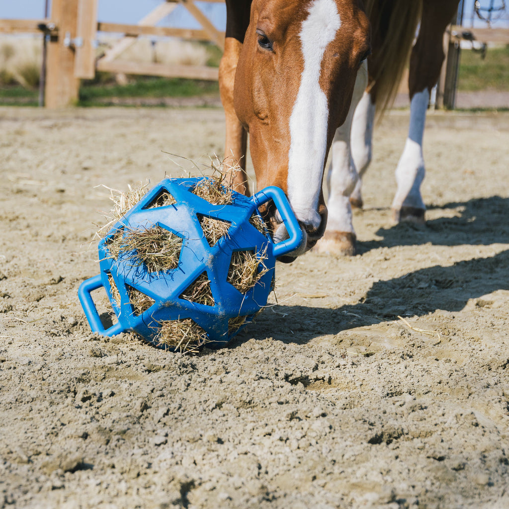 Kentucky Relax Heu- und Spielball