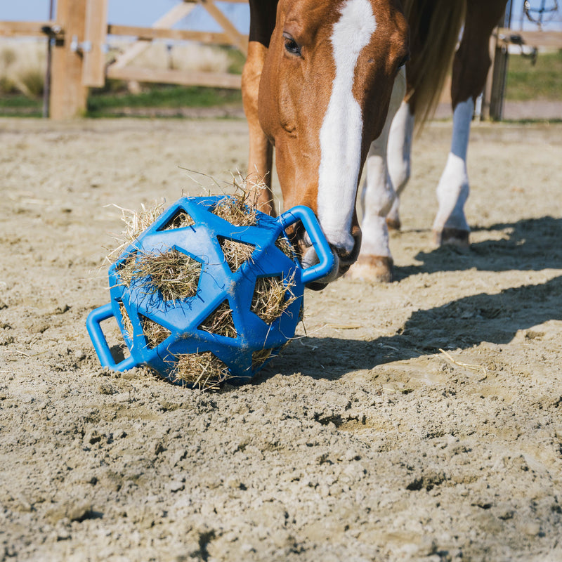 Kentucky Relax Heu- und Spielball