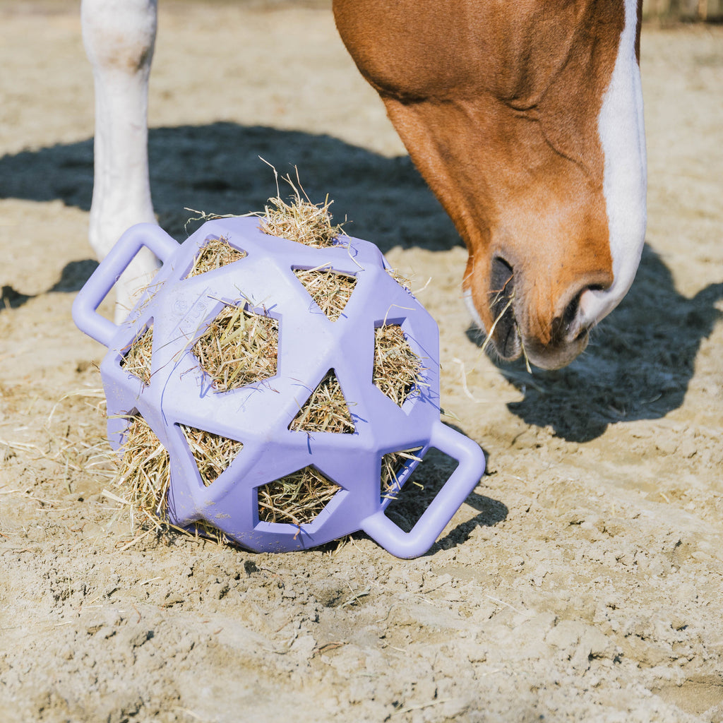 Kentucky Relax Heu- und Spielball