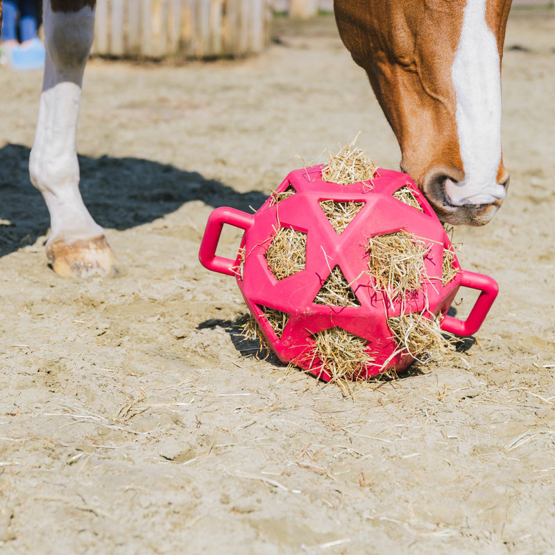 Kentucky Relax Heu- und Spielball