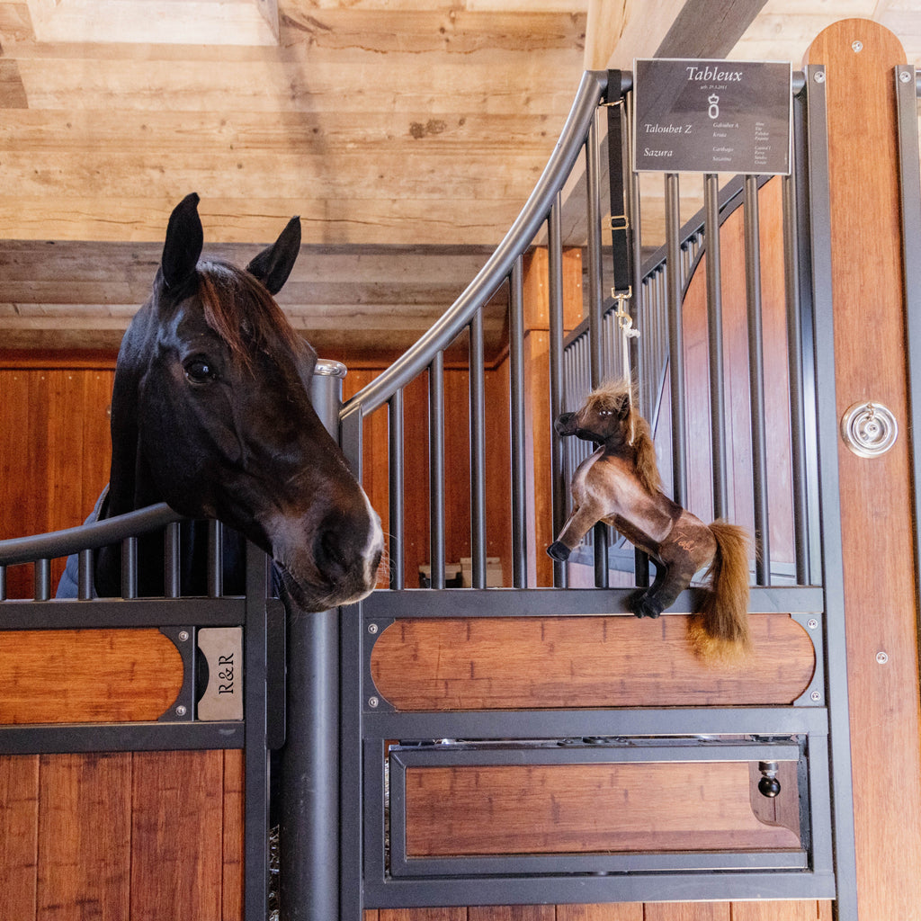 Kentucky Relax Horse Toy