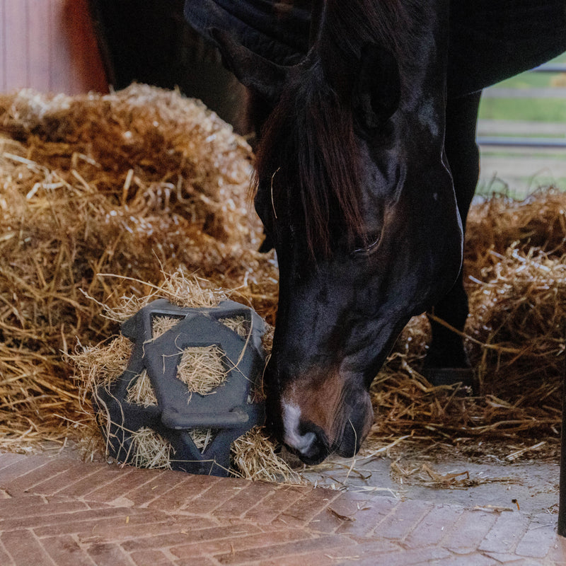 Kentucky Relax Heu- und Spielball