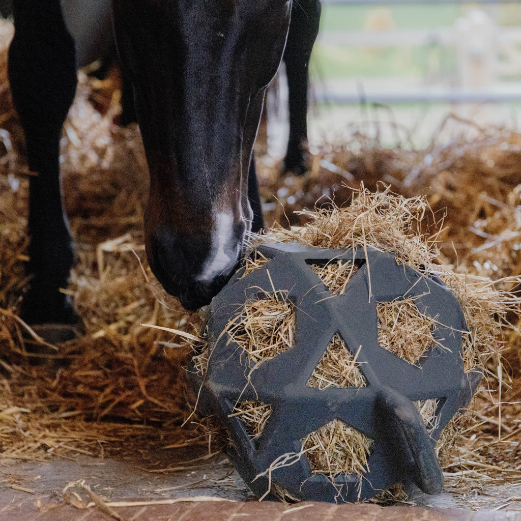 Kentucky Relax Heu- und Spielball