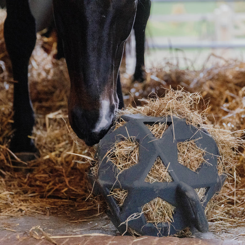 Kentucky Relax Heu- und Spielball