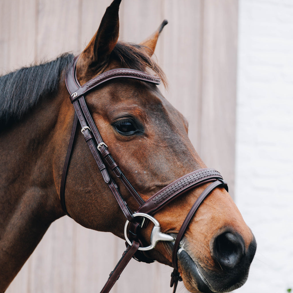 Dy'on Gewoven Hoofdstel - New English Collectie