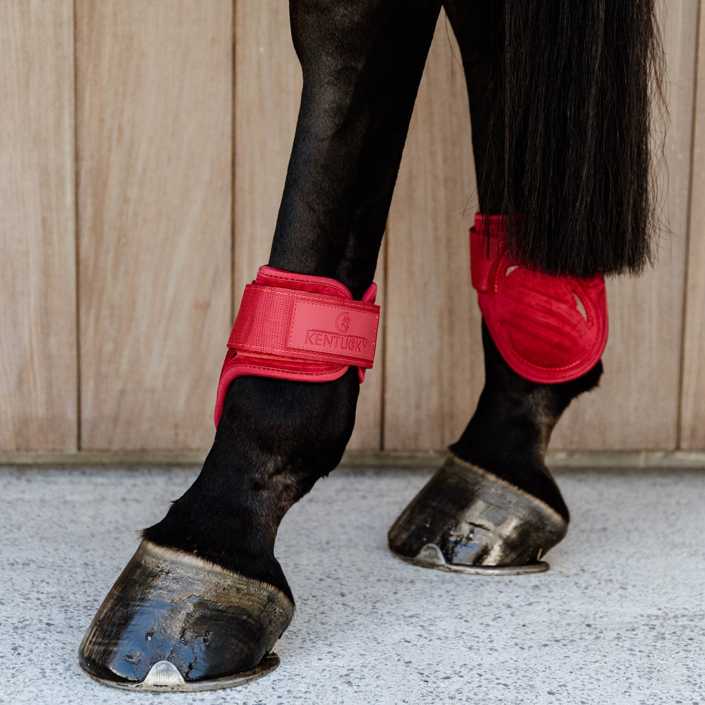 Kentucky Bottes Fetlock Young Horse - Velvet