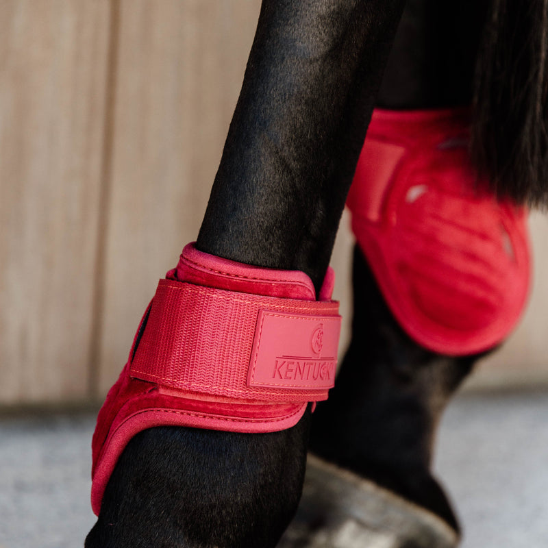Kentucky Fesselkopfstiefel Junges Pferd - Samt