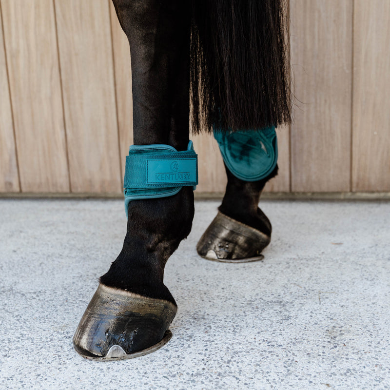 Kentucky Fesselkopfstiefel Junges Pferd - Samt