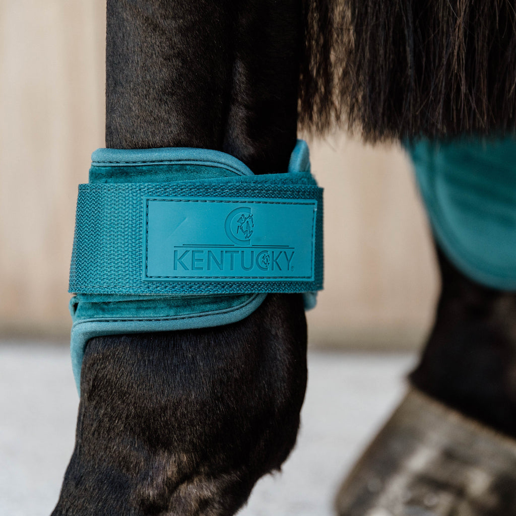 Kentucky Bottes Fetlock Young Horse - Velvet