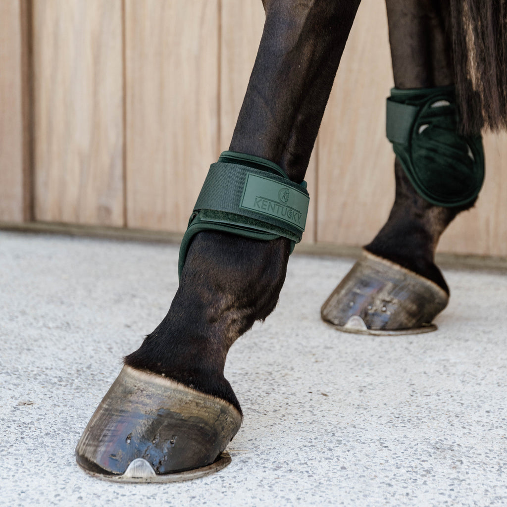Kentucky Fesselkopfstiefel Junges Pferd - Samt