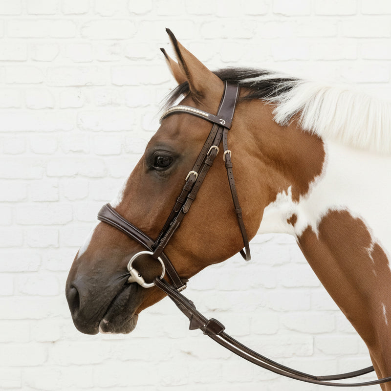 Dy'on Anatomic Noseband
