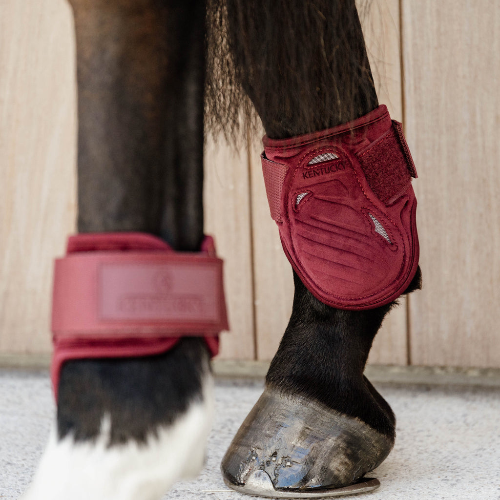 Kentucky Bottes Fetlock Jeunes Chevaux - Velours