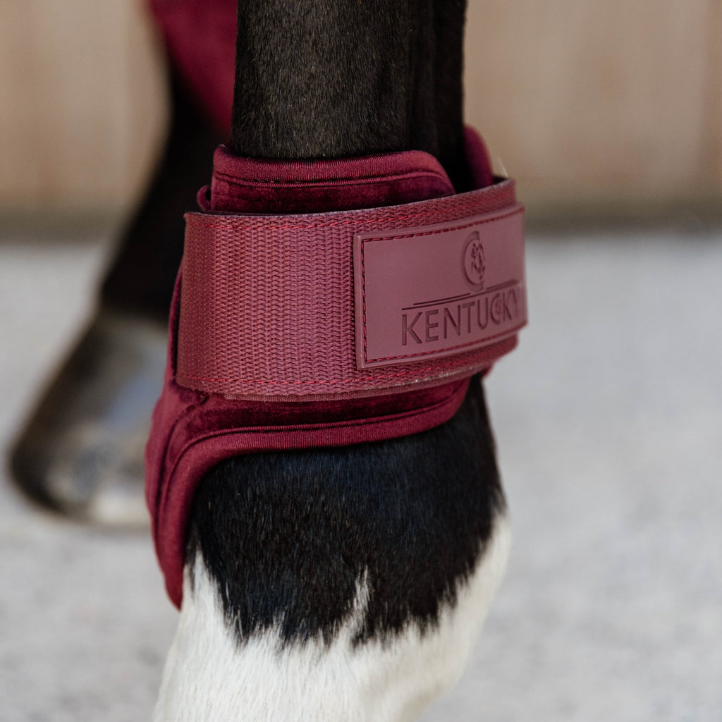 Kentucky Bottes Fetlock Jeunes Chevaux - Velours