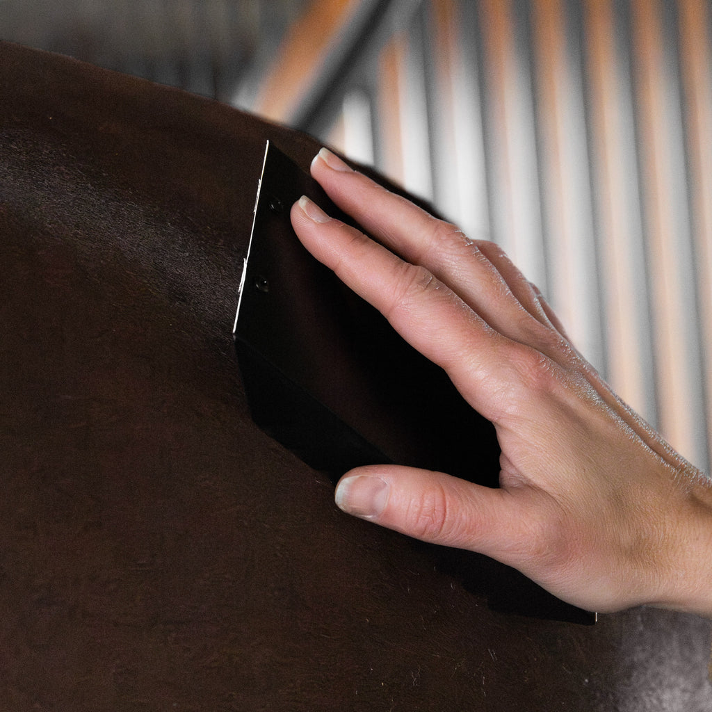 Grooming Deluxe Steel Curry Comb