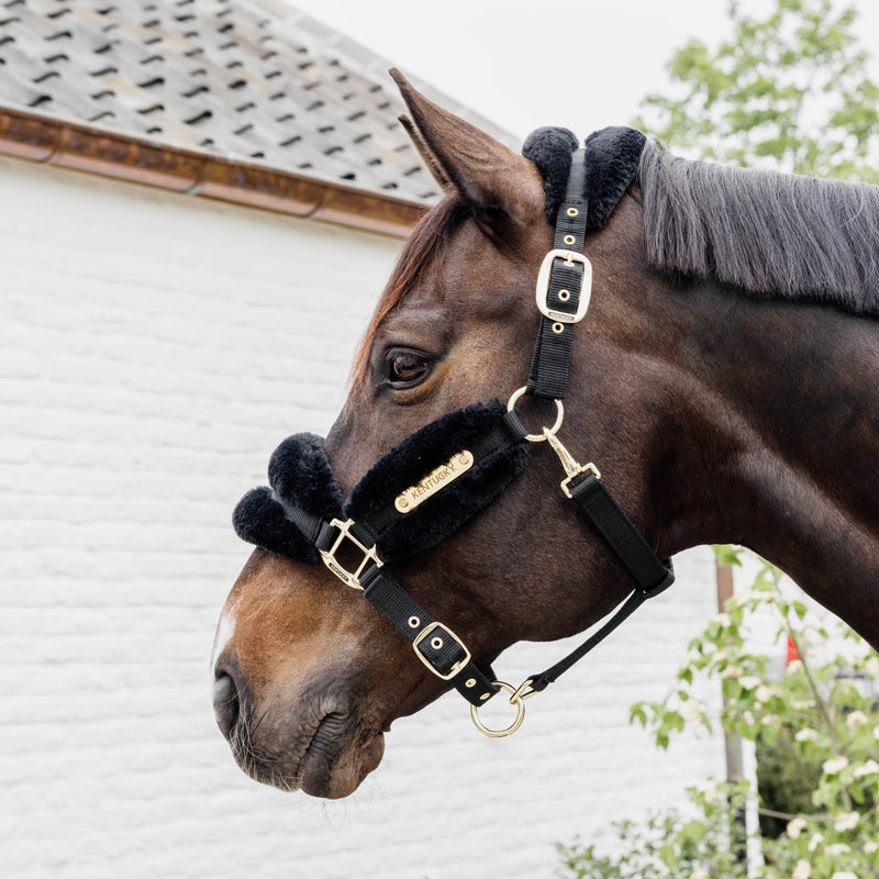 Kentucky Halfter - Nylon & Wolle Soft