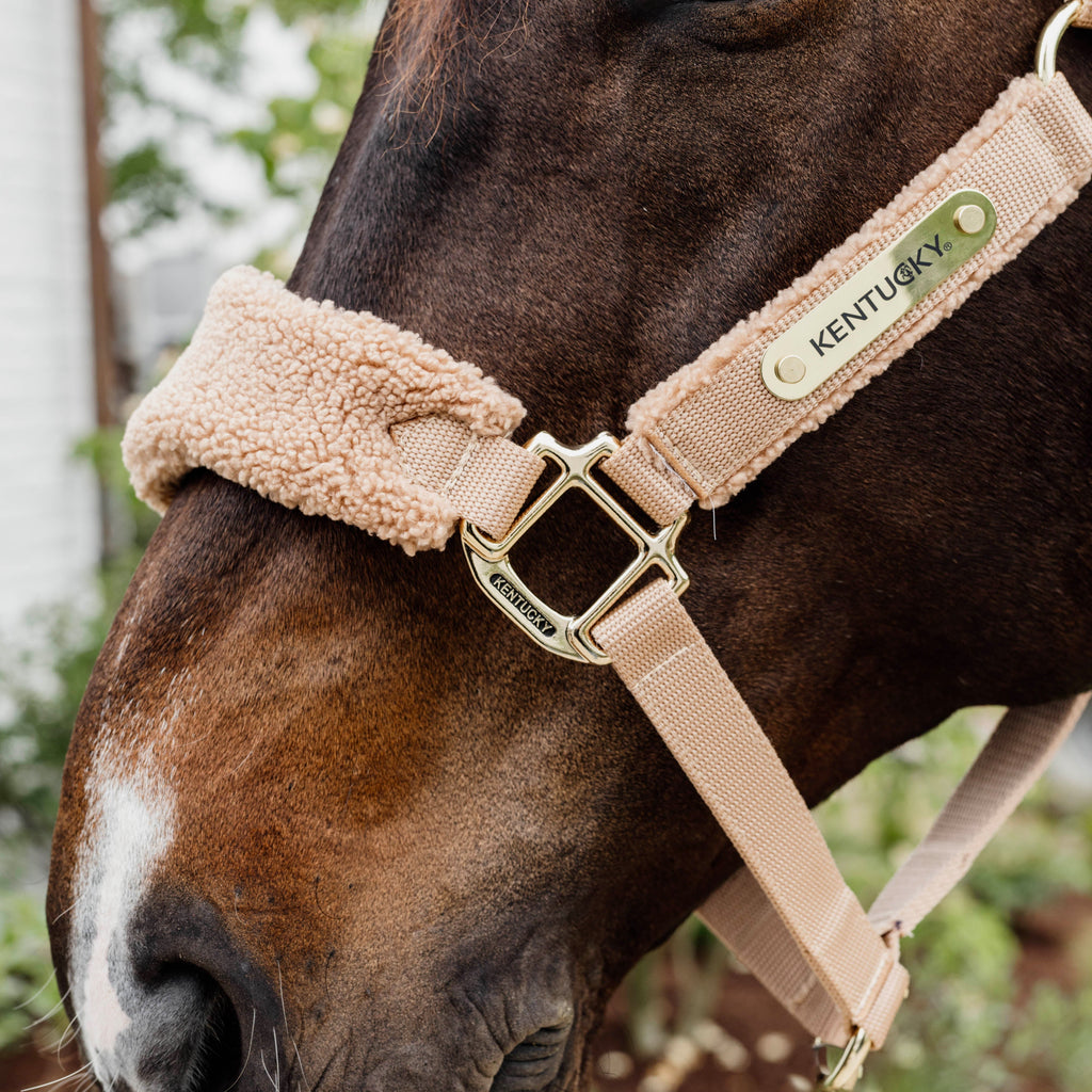 Kentucky Halfter - Teddy Fleece