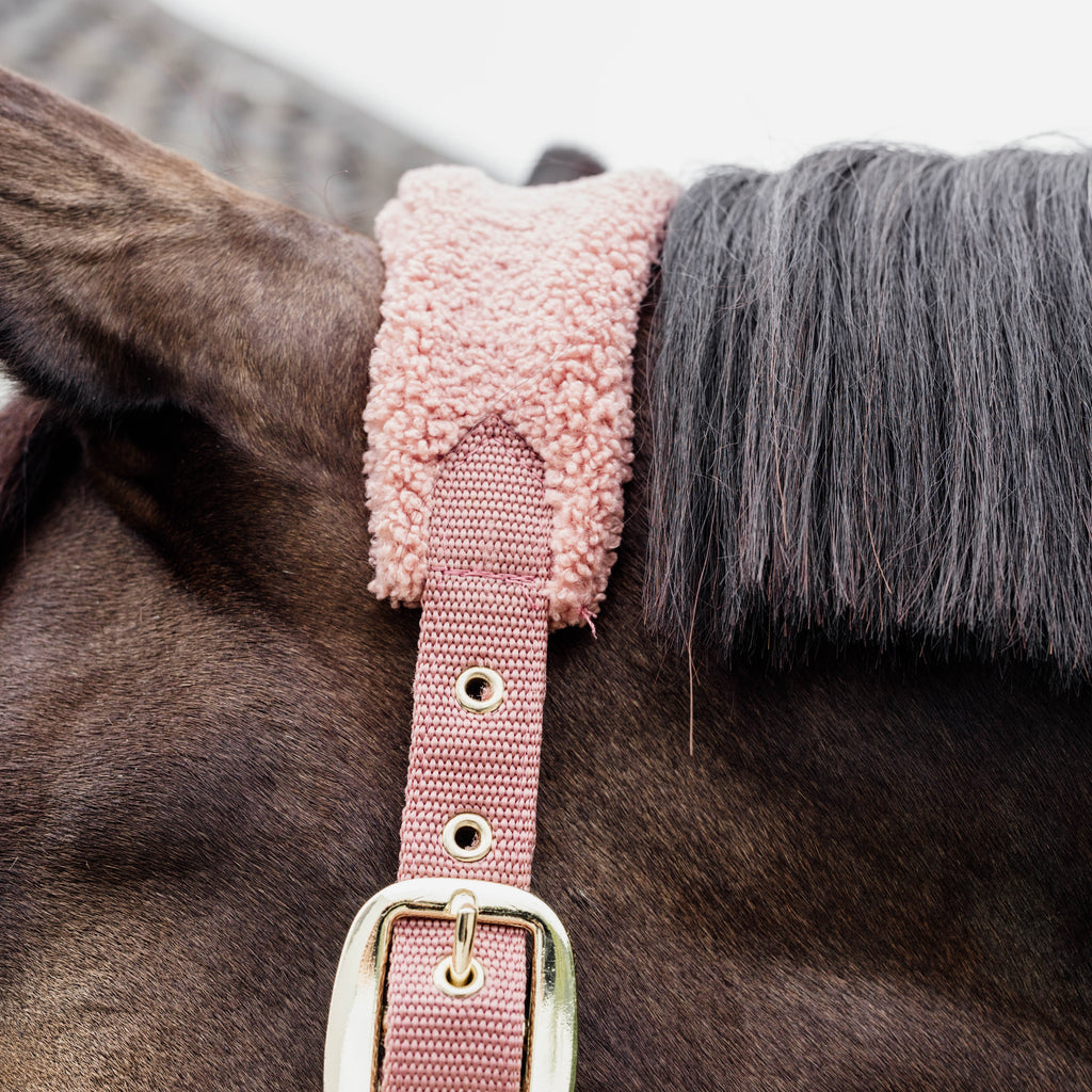 Kentucky Halfter - Teddy Fleece