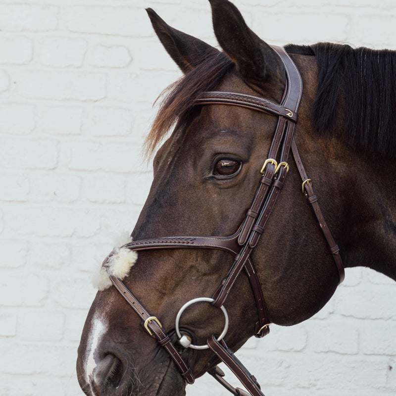 Dy'on Plaited Figure 8 Hoofdstel