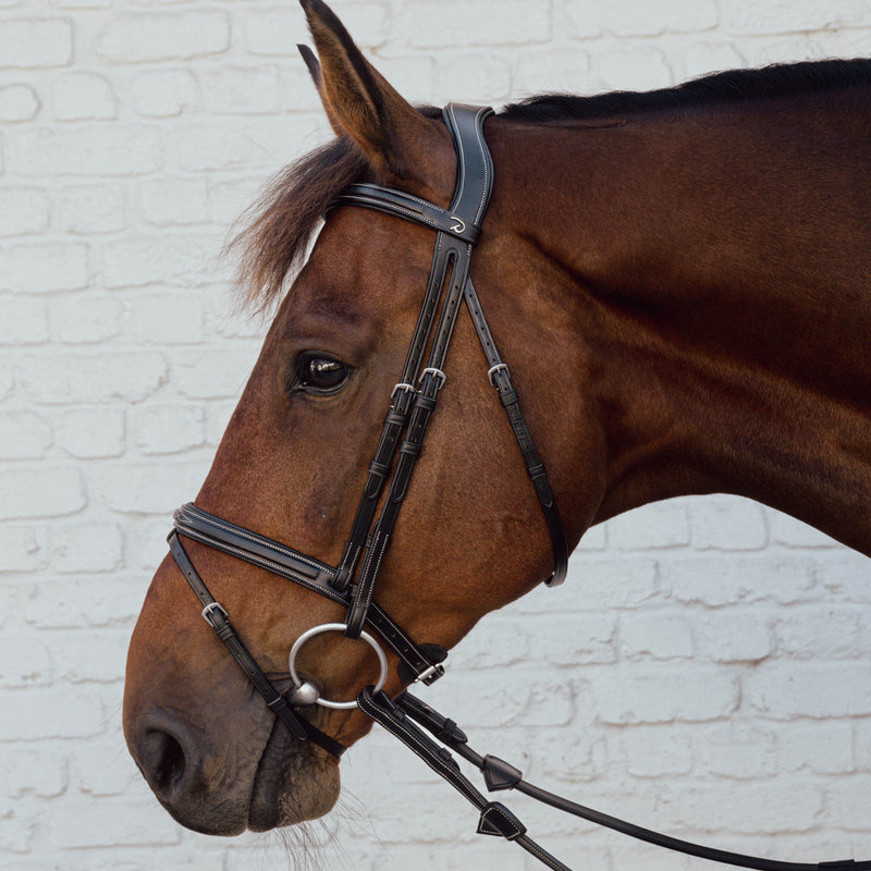 Dy'on Bridle Flash Noseband - US Collection
