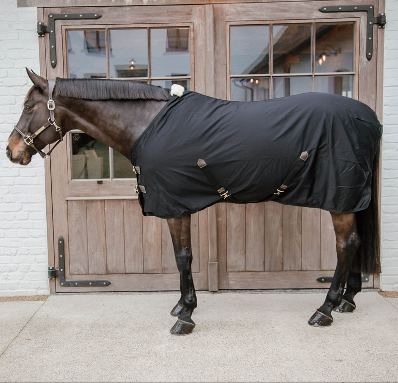 Kentucky Cotton Sheet