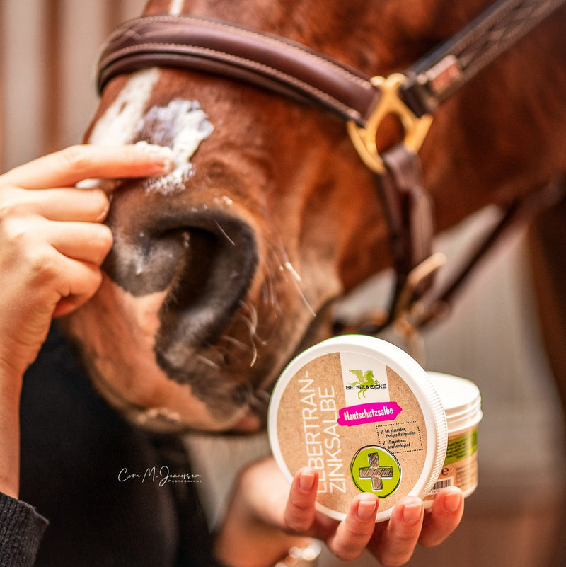 Bense & Eicke Cod Liver Oil-Zinc Salve