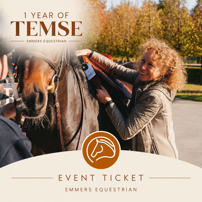 1 Year of Temse - Fitting Day Ticket