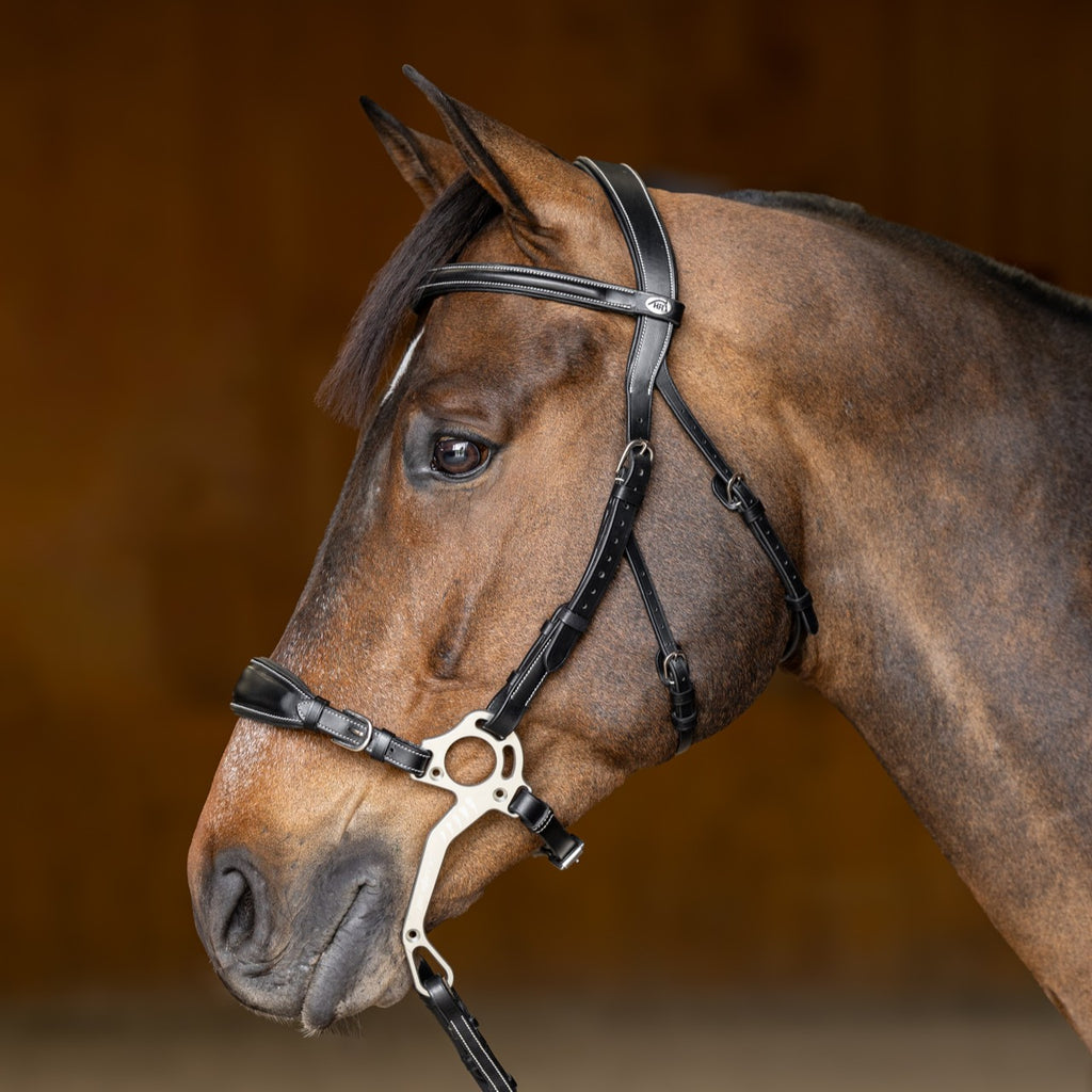 HFI Hoofdstel Hackamore